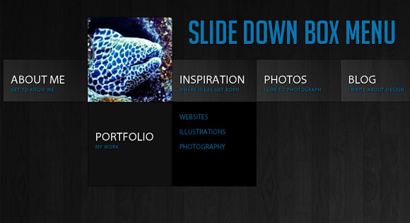 SLIDE DOWN BOX MENU WITH JQUERY AND CSS3